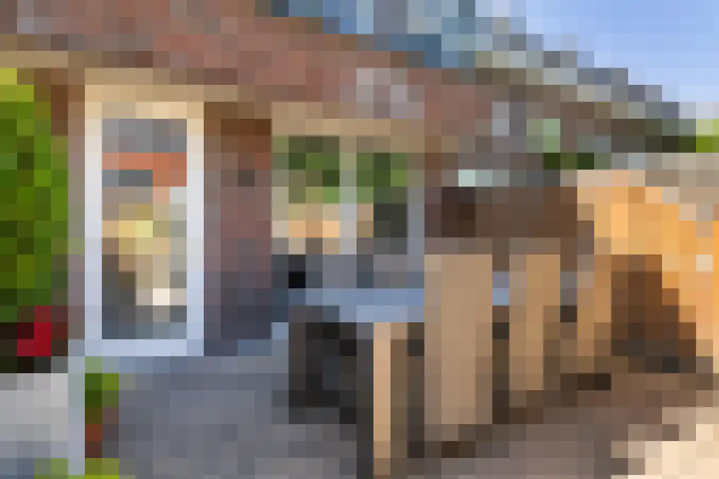 Paardenbloemsingel 66 Vleuten thumbnail 22
