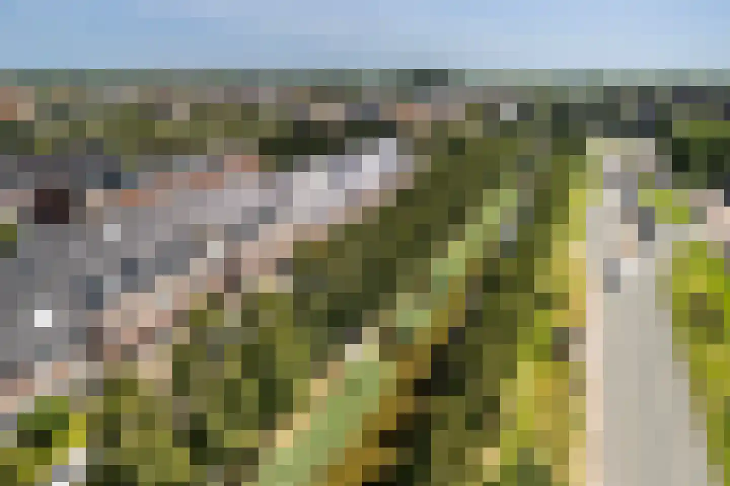 Paardenbloemsingel 66 Vleuten thumbnail 24