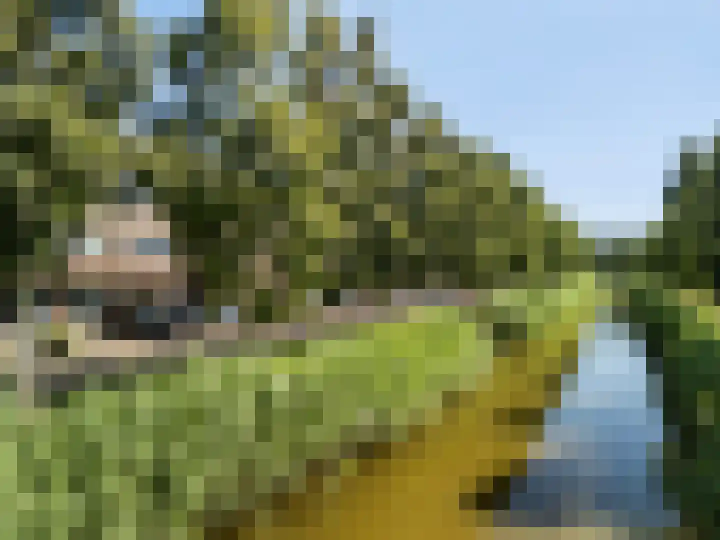 Paardenbloemsingel 66 Vleuten thumbnail 28