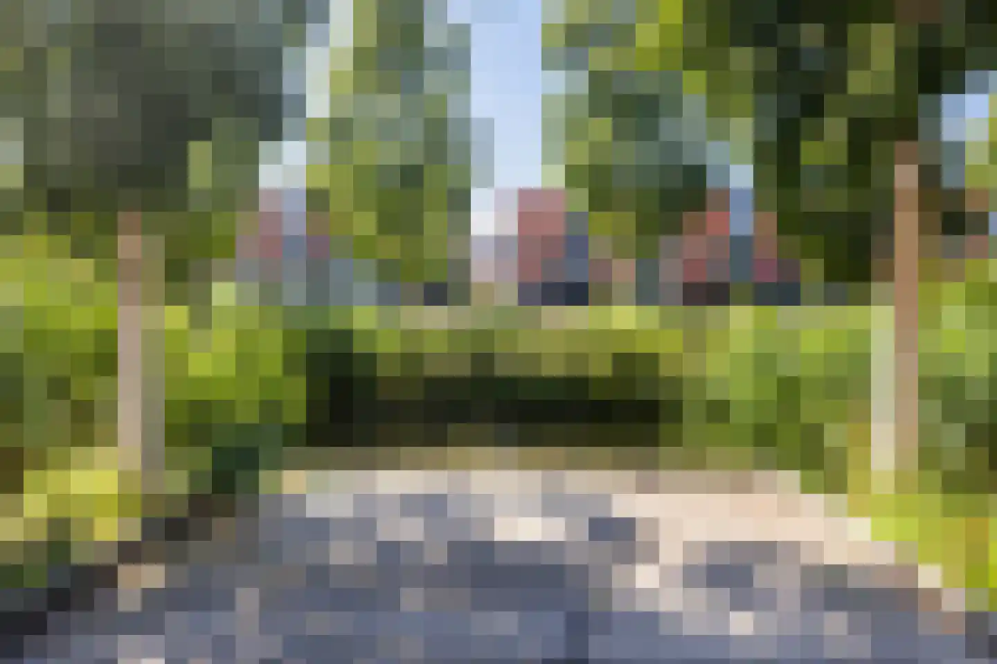 Paardenbloemsingel 66 Vleuten thumbnail 29