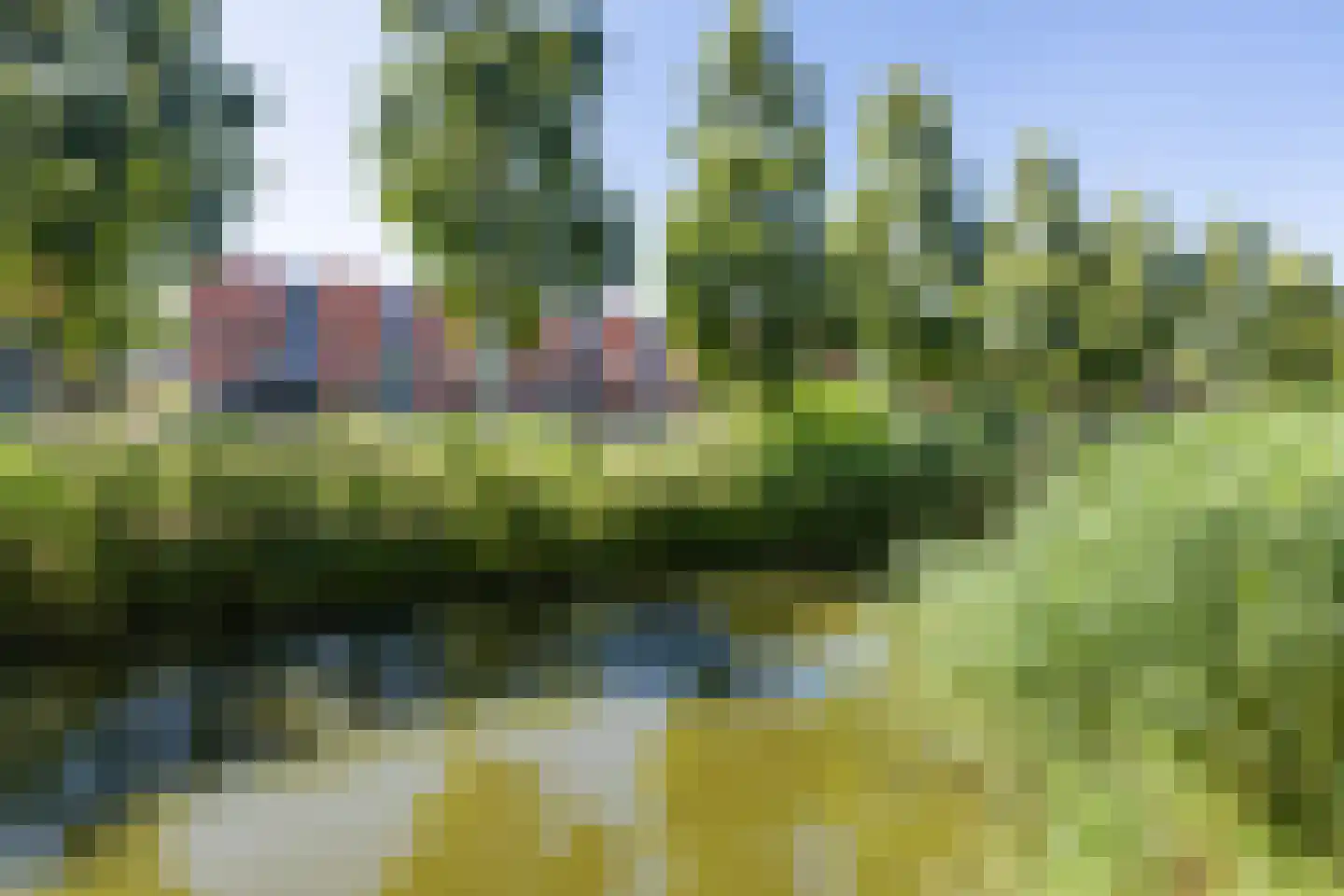 Paardenbloemsingel 66 Vleuten thumbnail 30