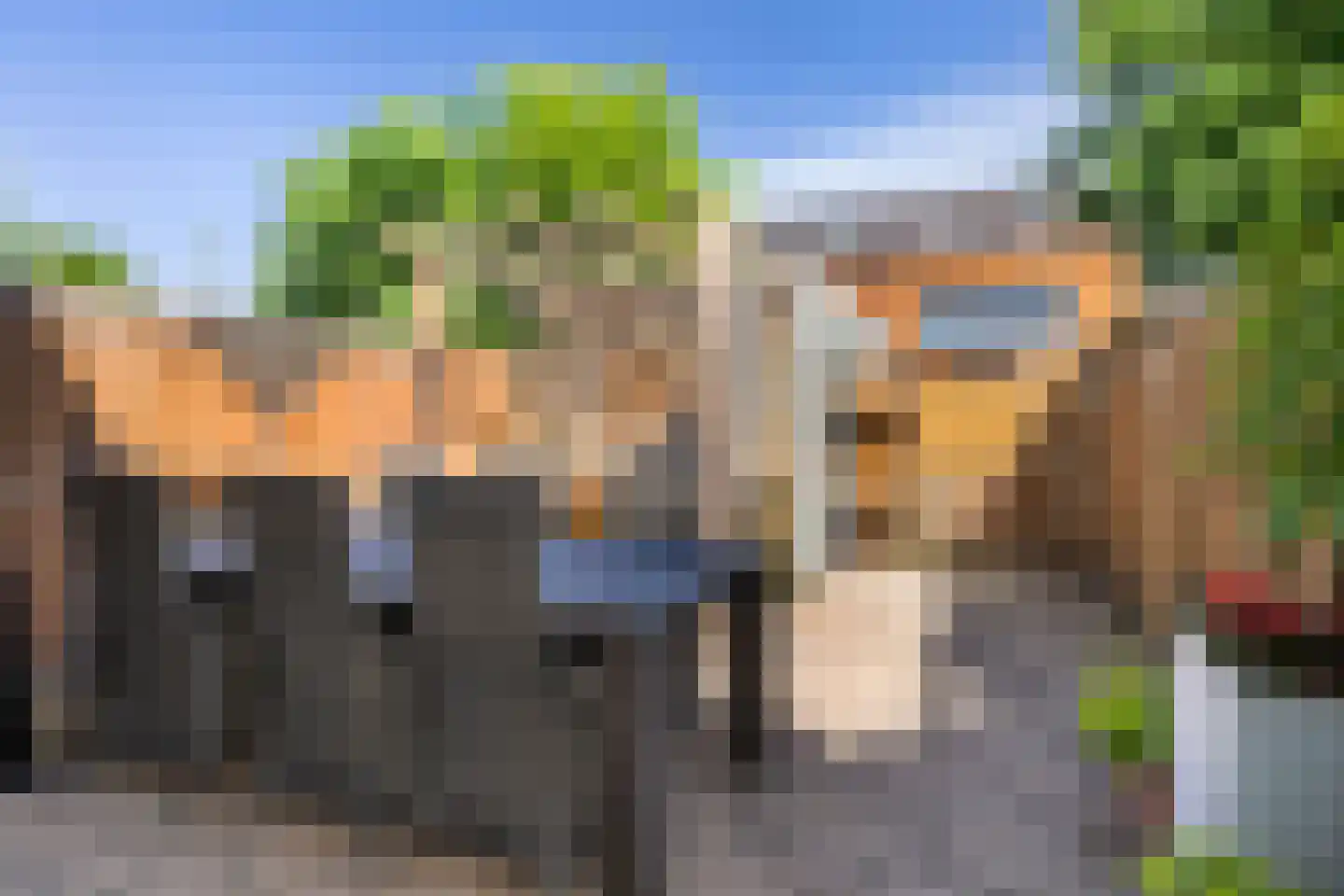 Paardenbloemsingel 66 Vleuten thumbnail 5