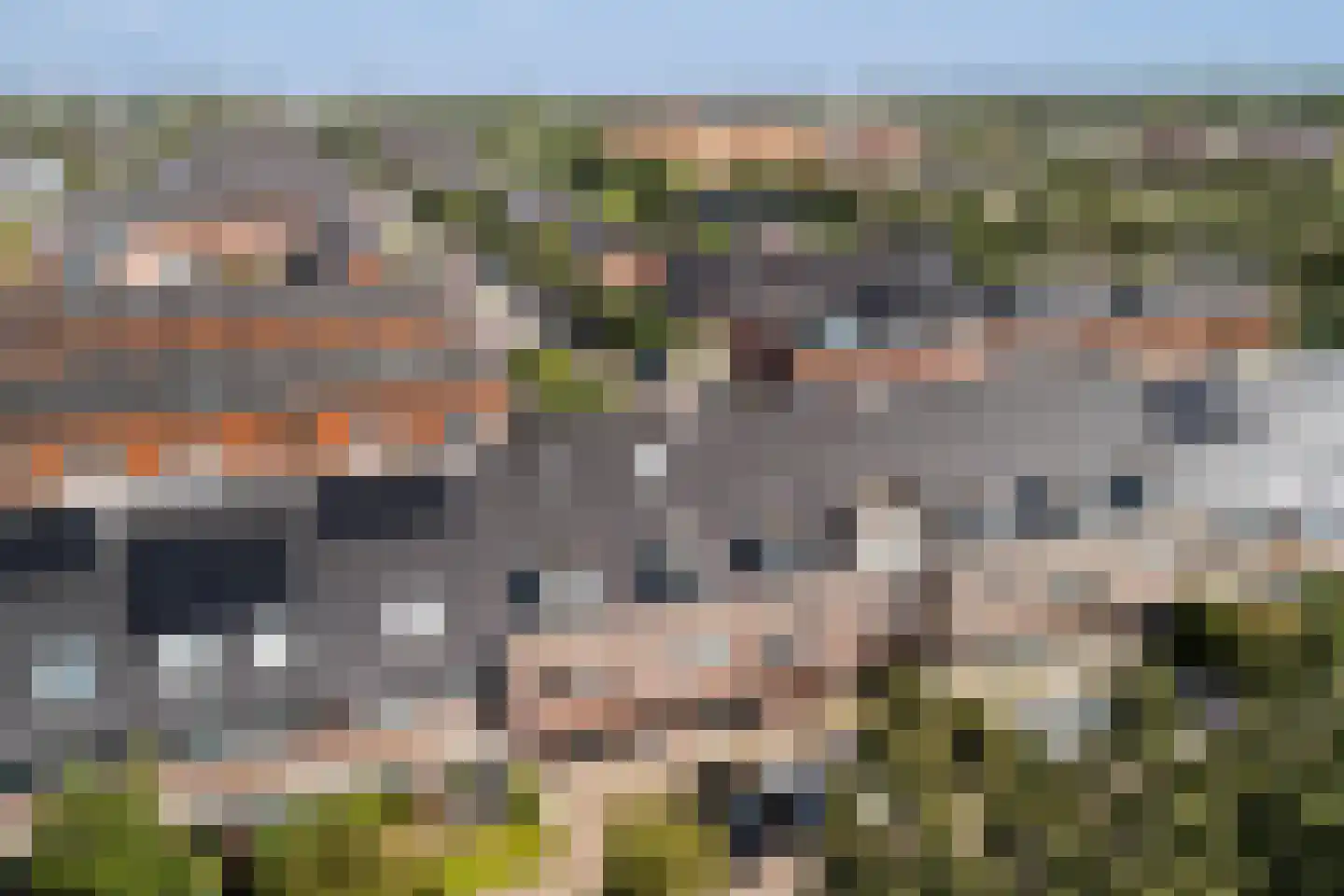 Paardenbloemsingel 66 Vleuten thumbnail 6