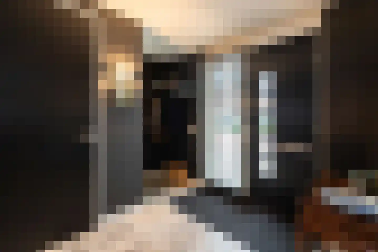 Paardenboonhof 10 Alblasserdam thumbnail 13