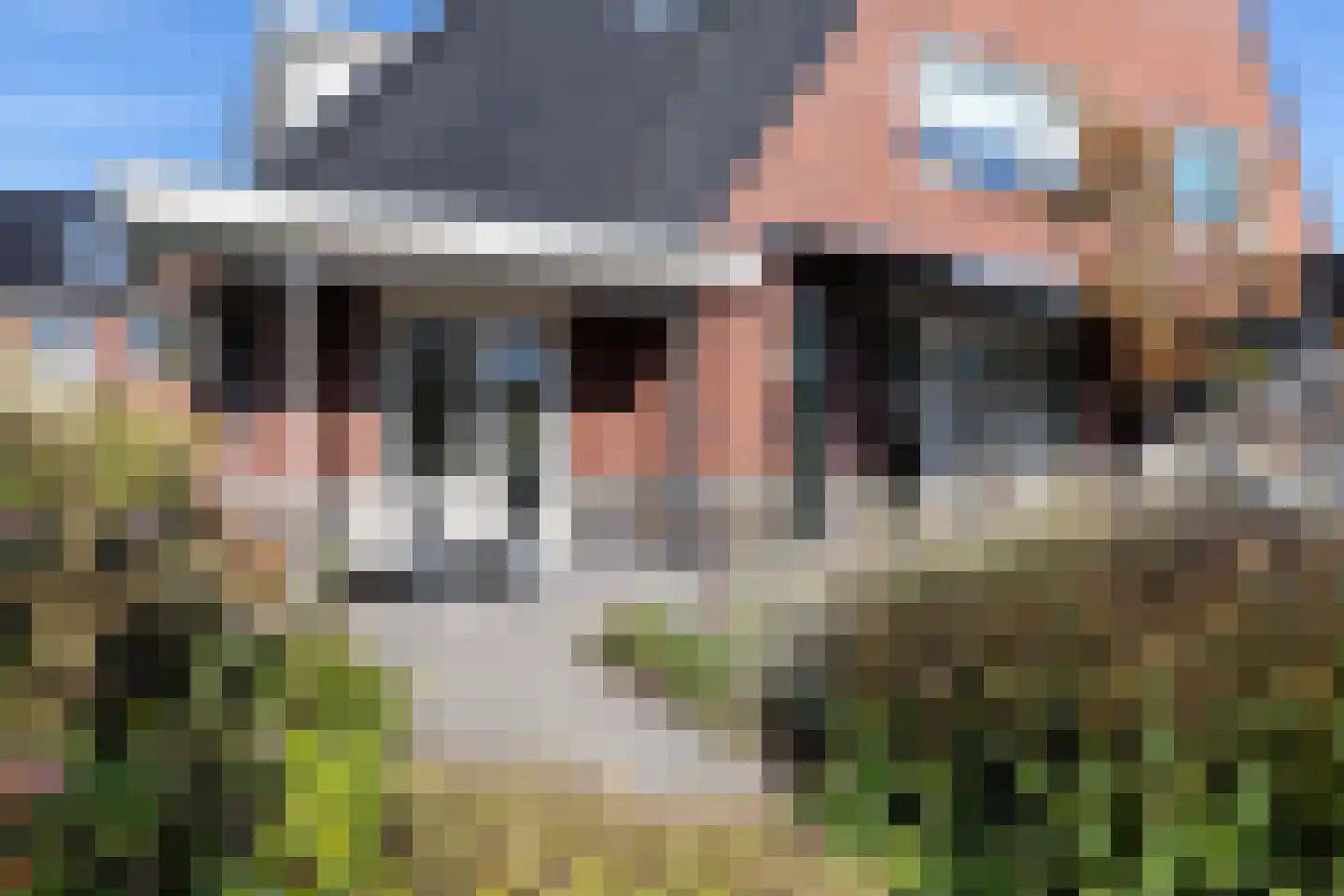 Paardenboonhof 10 Alblasserdam thumbnail 33