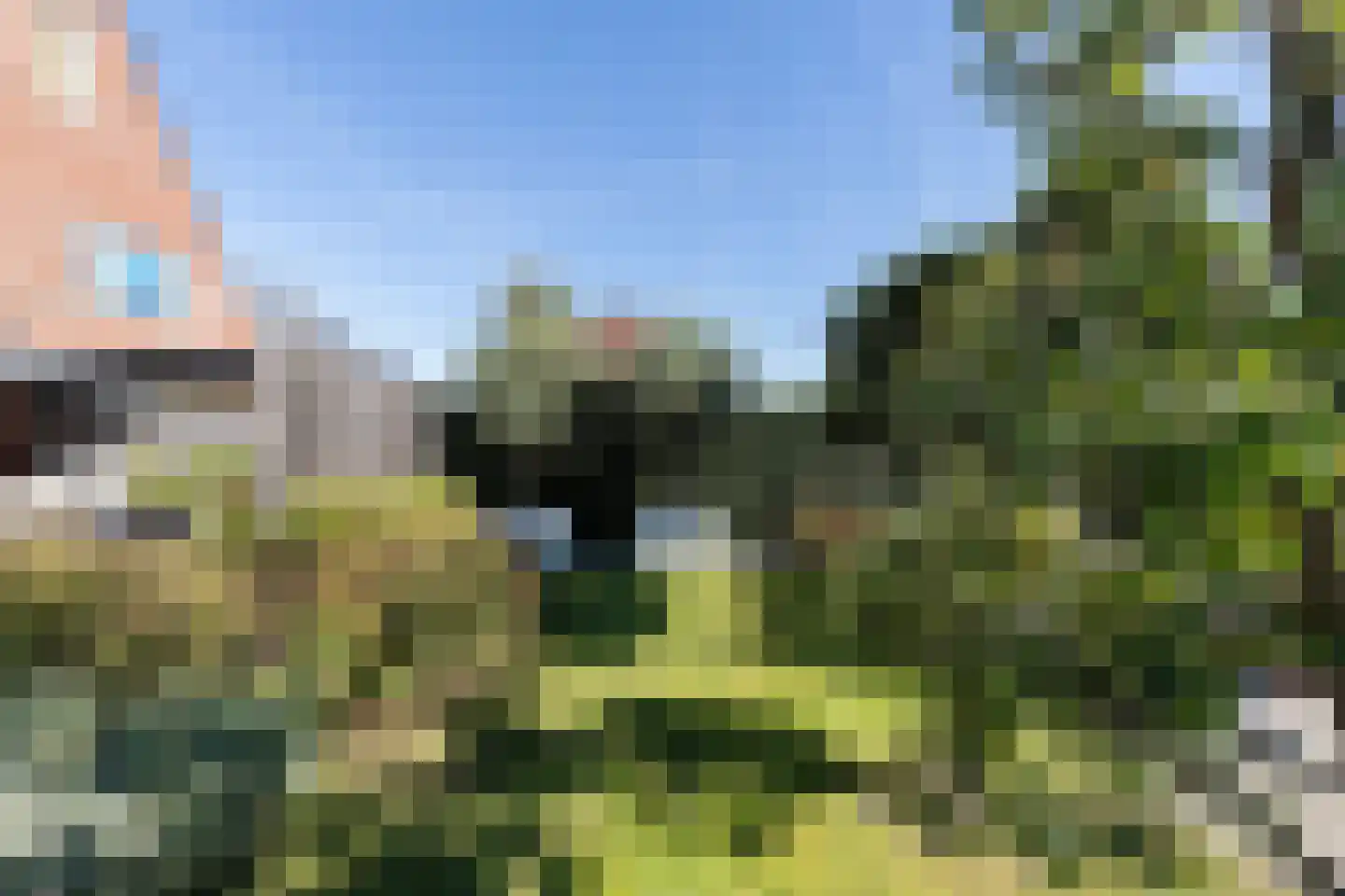 Paardenboonhof 10 Alblasserdam thumbnail 36