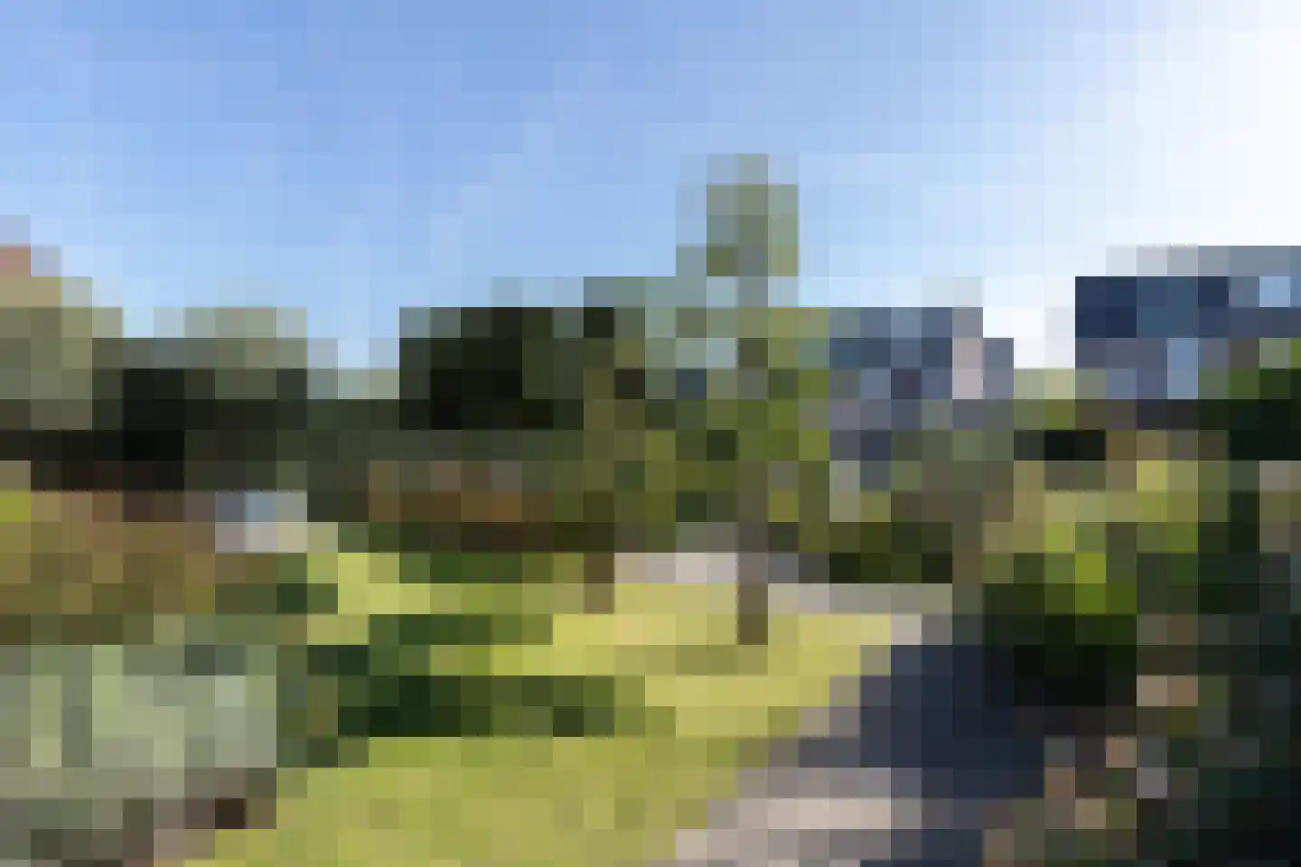 Paardenboonhof 10 Alblasserdam thumbnail 37