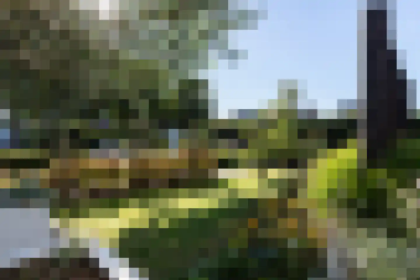 Paardenboonhof 10 Alblasserdam thumbnail 38