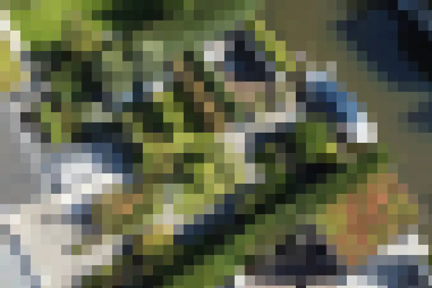Paardenboonhof 10 Alblasserdam thumbnail 42
