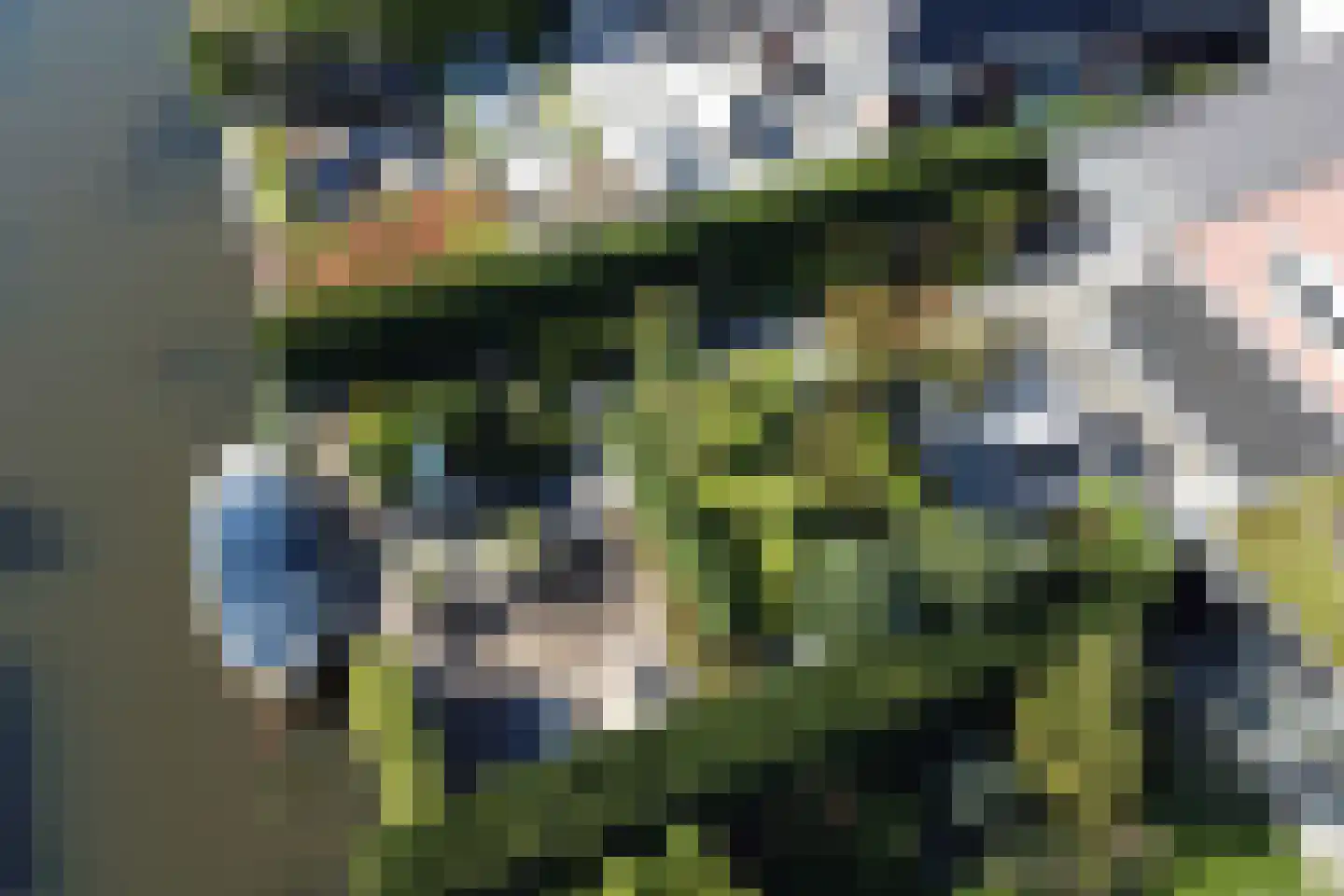 Paardenboonhof 10 Alblasserdam thumbnail 43