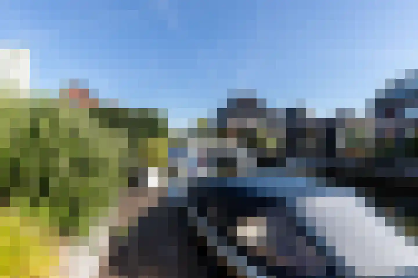 Paardenboonhof 10 Alblasserdam thumbnail 45