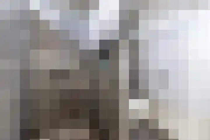 Paardendreef 34 Noordwolde thumbnail 34