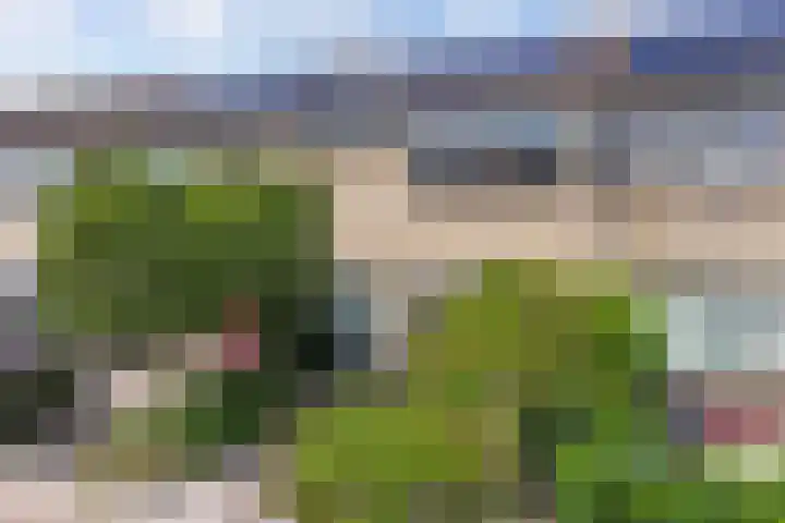 Paardendreef 34 Noordwolde thumbnail 5
