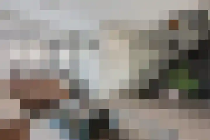 Paardendreef 77 Noordwolde thumbnail 6
