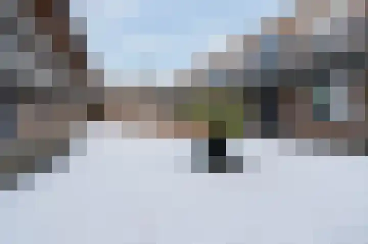 Paardenhei 21 Best thumbnail 10