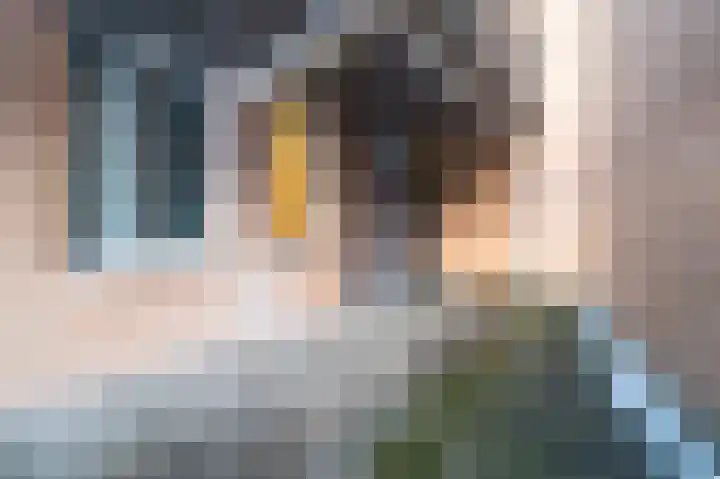 Paardenhei 21 Best thumbnail 11