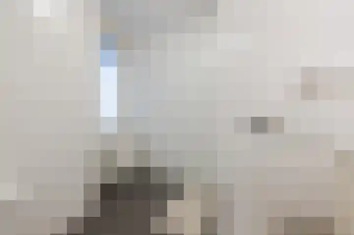 Paardenhei 21 Best thumbnail 14
