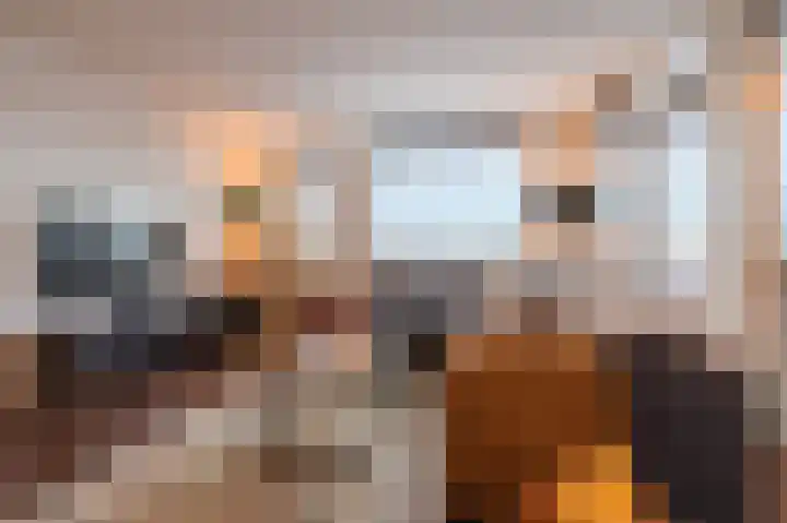 Paardenhei 21 Best thumbnail 20