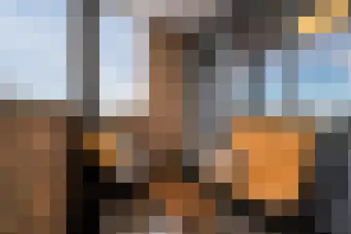 Paardenhei 21 Best thumbnail 29