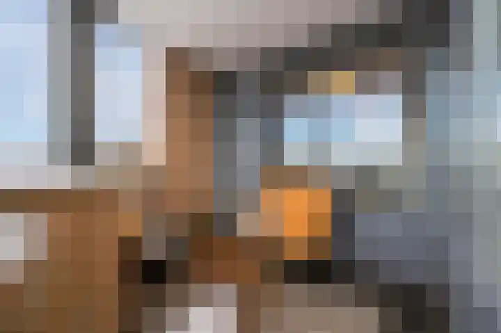 Paardenhei 21 Best thumbnail 30