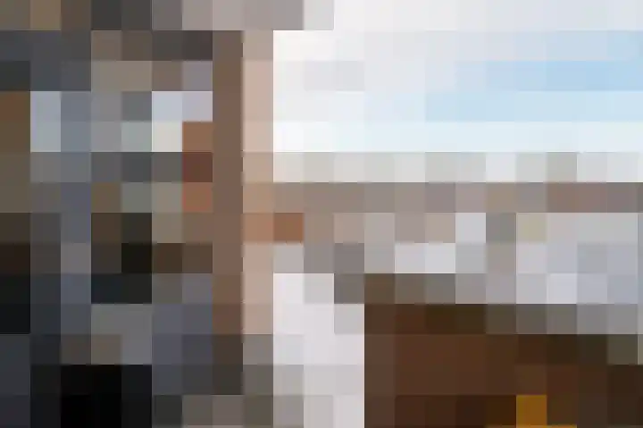 Paardenhei 21 Best thumbnail 31