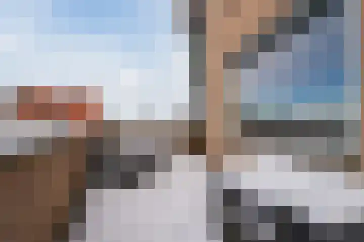 Paardenhei 21 Best thumbnail 34
