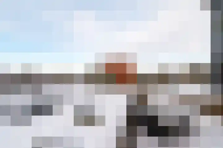 Paardenhei 21 Best thumbnail 35