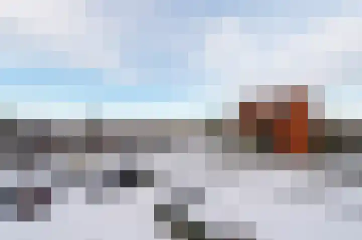 Paardenhei 21 Best thumbnail 36