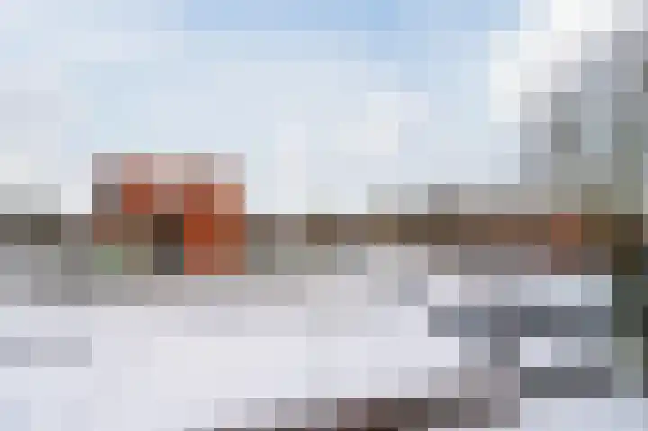 Paardenhei 21 Best thumbnail 37