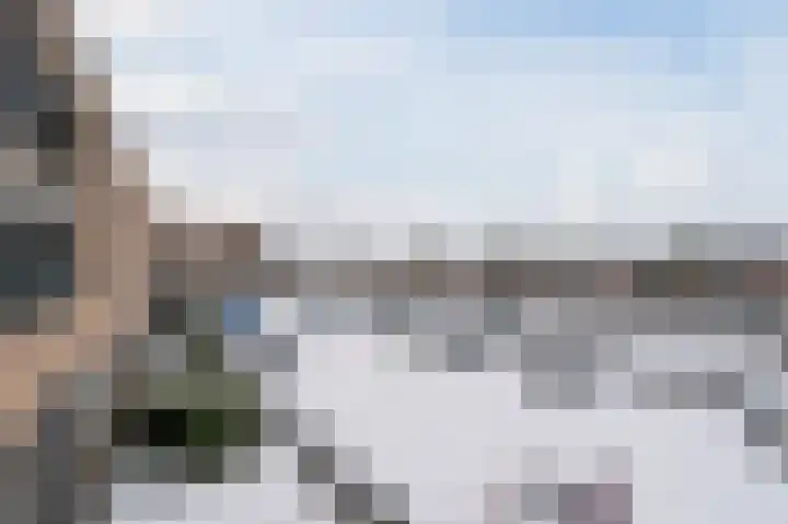 Paardenhei 21 Best thumbnail 38
