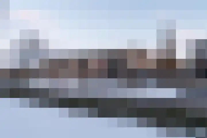 Paardenhei 21 Best thumbnail 39
