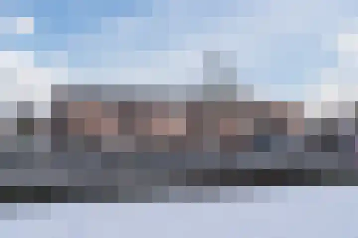 Paardenhei 21 Best thumbnail 43