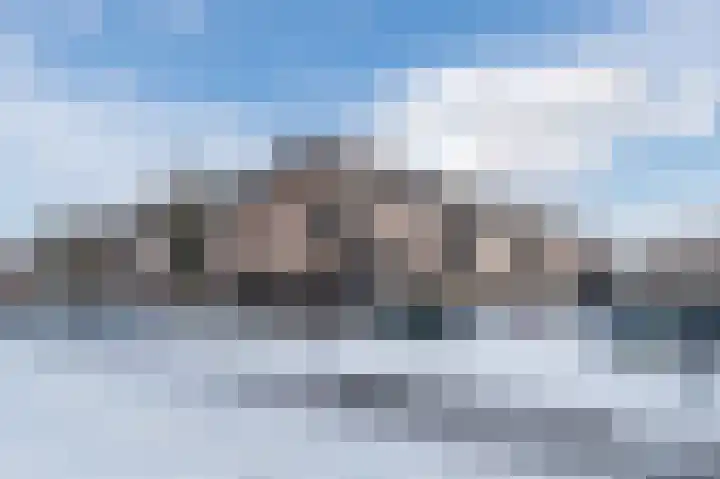 Paardenhei 21 Best thumbnail 44