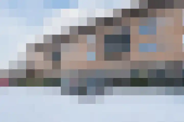 Paardenhei 21 Best thumbnail 45