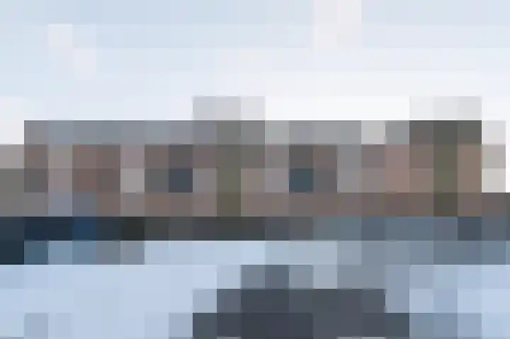 Paardenhei 21 Best thumbnail 47