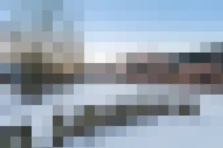 Paardenhei 21 Best thumbnail 48