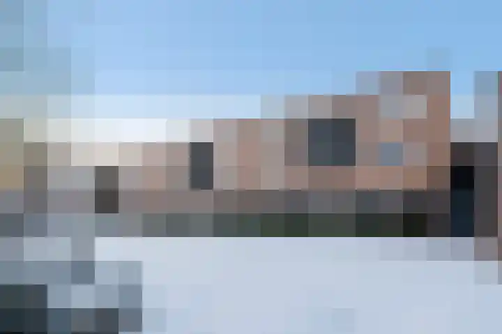 Paardenhei 21 Best thumbnail 49