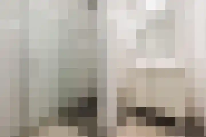 Paardenhei 21 Best thumbnail 5