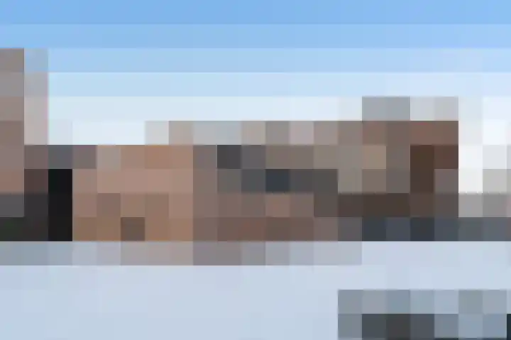 Paardenhei 21 Best thumbnail 50