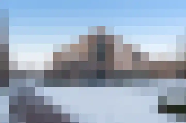 Paardenhei 21 Best thumbnail 51
