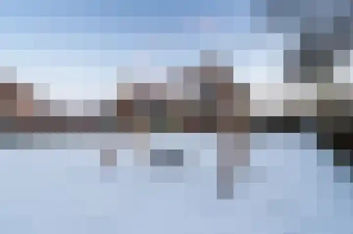 Paardenhei 21 Best thumbnail 52