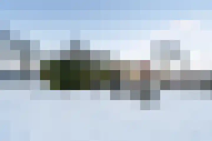Paardenhei 21 Best thumbnail 53