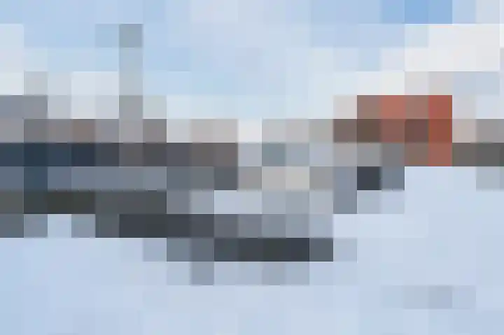 Paardenhei 21 Best thumbnail 6