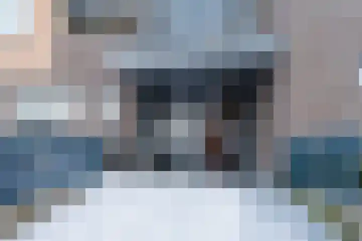 Paardenhei 21 Best thumbnail 8