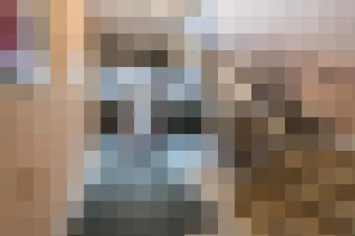 Paardenhei 21 Best thumbnail 9