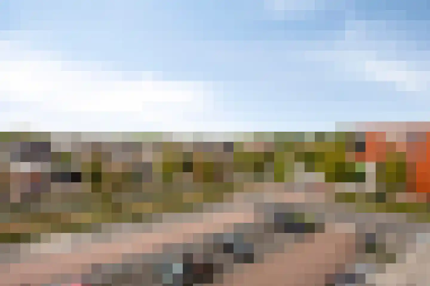 Paardenhei 99 Best thumbnail 20