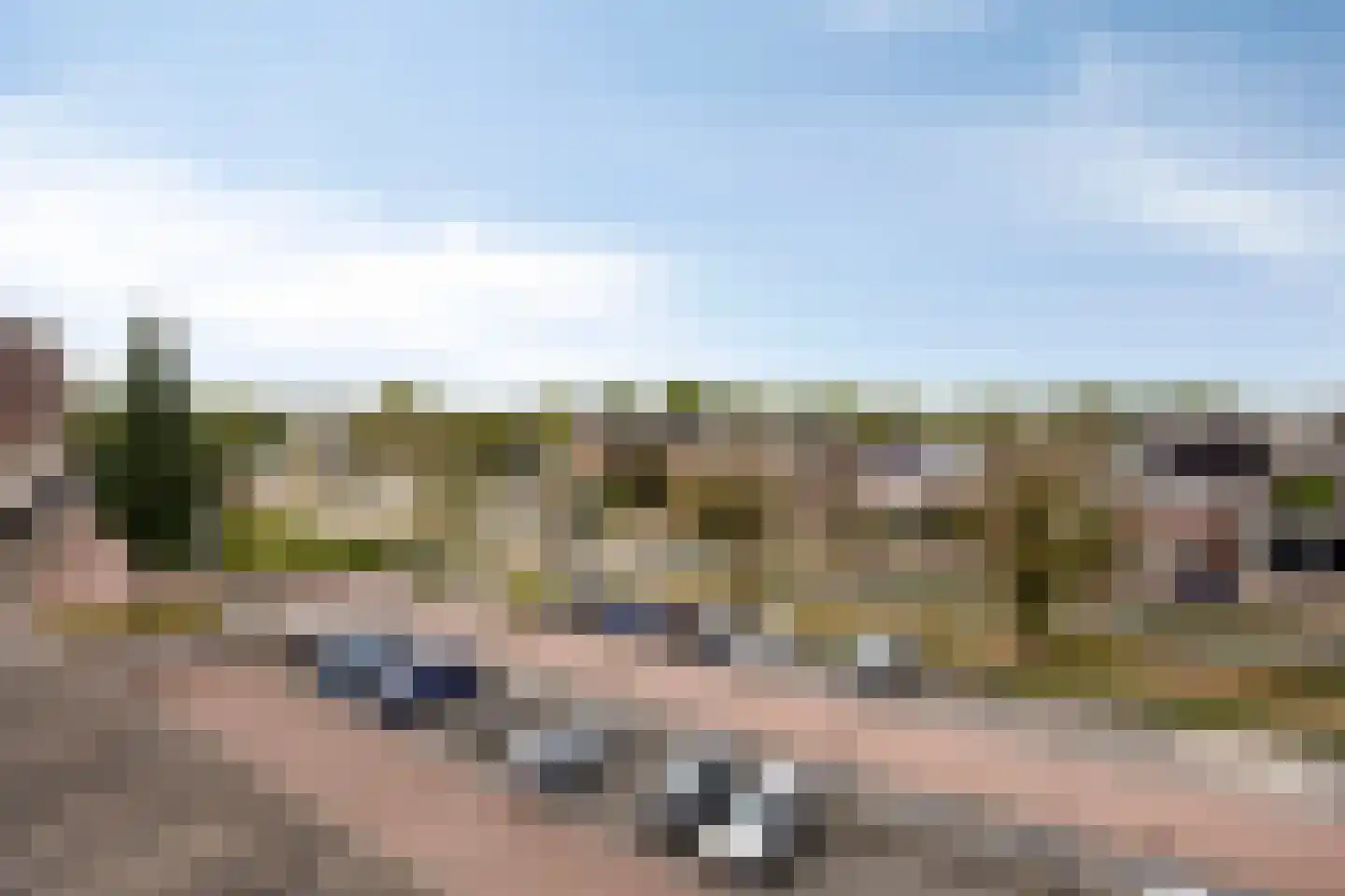 Paardenhei 99 Best thumbnail 6