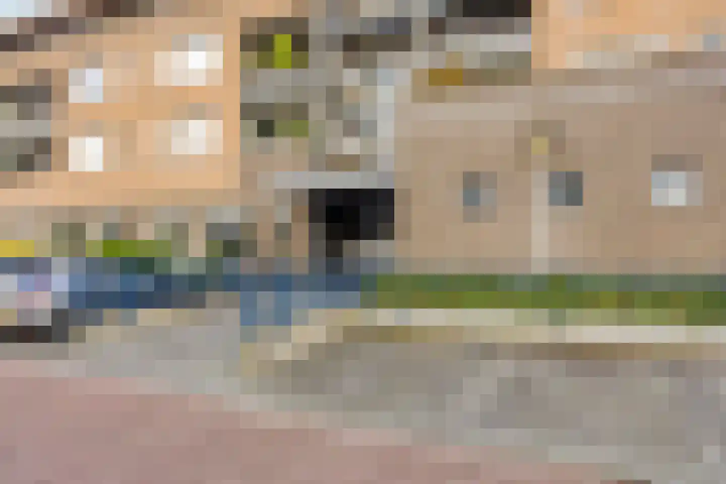 Paardenhei 99 Best thumbnail 8