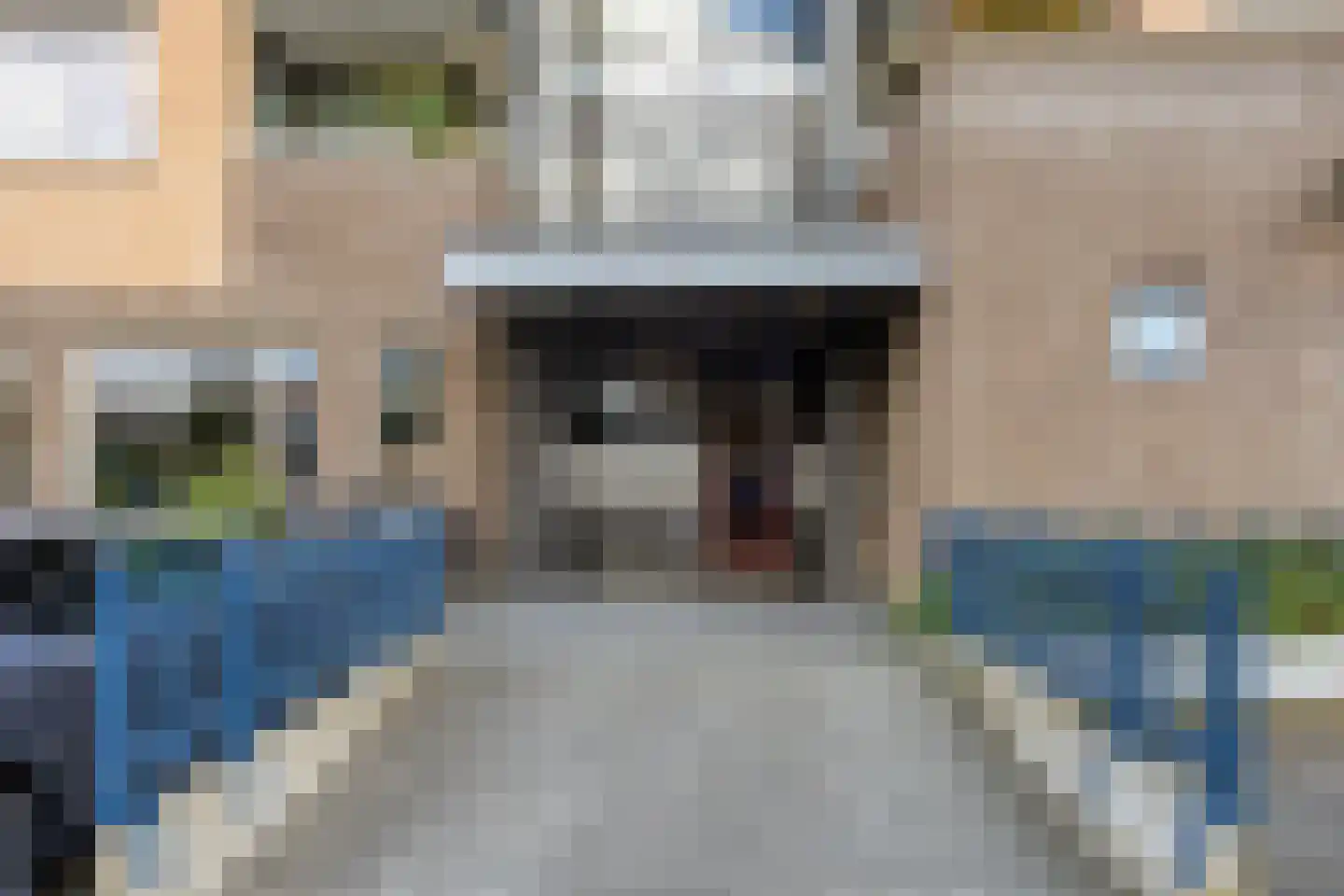 Paardenhei 99 Best thumbnail 9