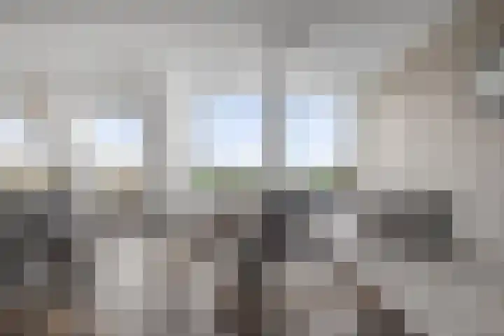 Paardenhoeve 100 Houten thumbnail 10